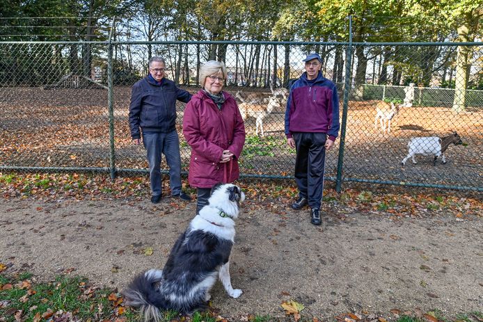 Hoe Krijgen De Herten In Halsteren Straks Water En Stroom Kamp Nog Niet Helemaal Gered Bergen Op Zoom Bndestem Nl