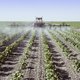 Bewezen: blootstelling aan pesticiden vergroot de kans op autisme