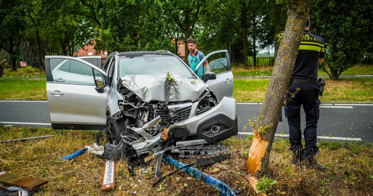 www.ed.nl