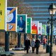 Verkiezingen hebben Nederland verkruimeld