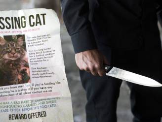 “Dit is werk van psychopaat”: politie vreest dat dierenbeul die in Londen al zeker 400 katten doodde zal overstappen op mensen