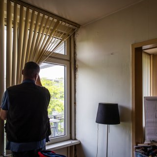 Moldy homes: many reports are addressed but not resolved