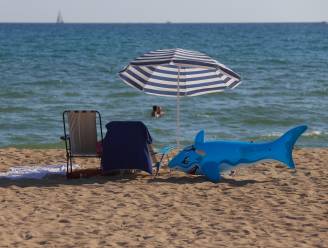 Haaien duiken op aan Spaanse kust, experts verrast: “Wees voorzichtig, maar geniet er vooral ook van”