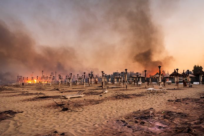 Divampa un incendio sulla spiaggia Le Capannine di Catania.