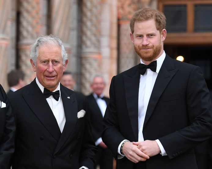 Kloof Tussen Prins Charles En Zoon Harry Groter Dan Ooit Hun Liefdevolle Relatie Zal Nooit Meer Dezelfde Zijn Harry Meghan Hln Be