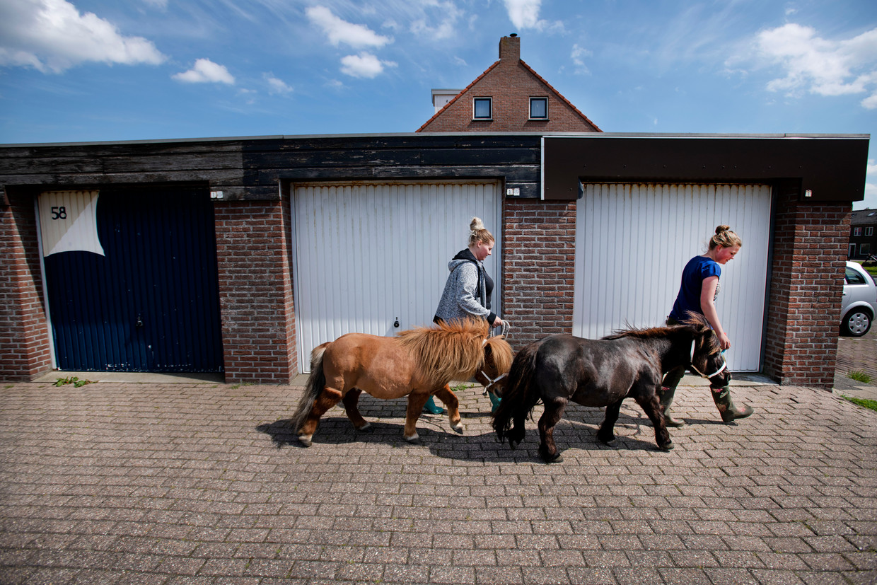 De inwoners zijn er gelaten onder. Beeld Olaf Kraak