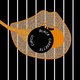 Black Cassette - Circo