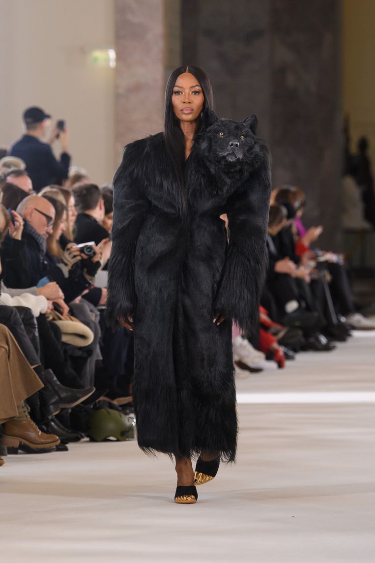 null Beeld SCHIAPARELLI