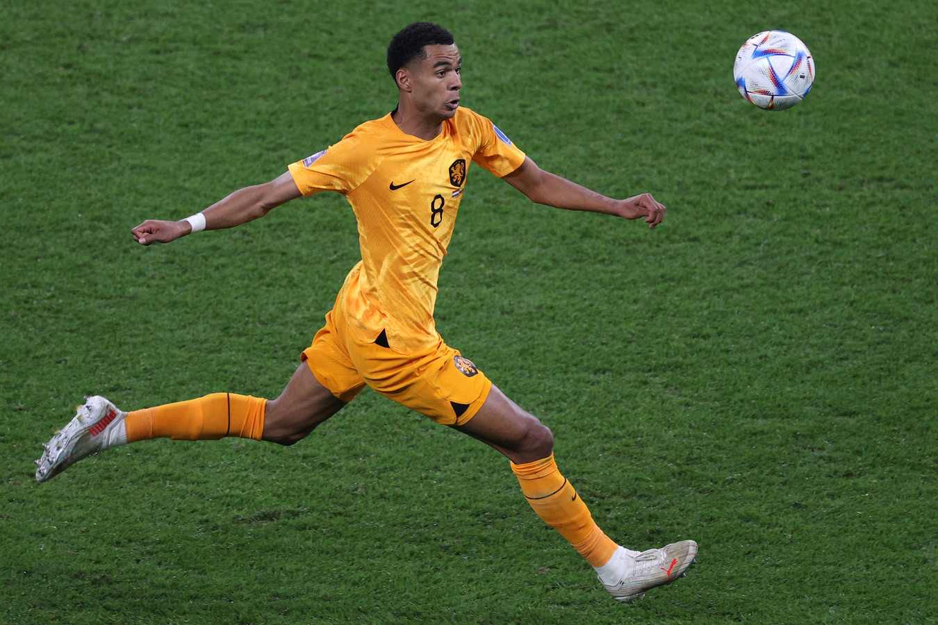 Panenka ‘Inmiddels is Cody Gakpo 20 miljoen meer waard’ Foto