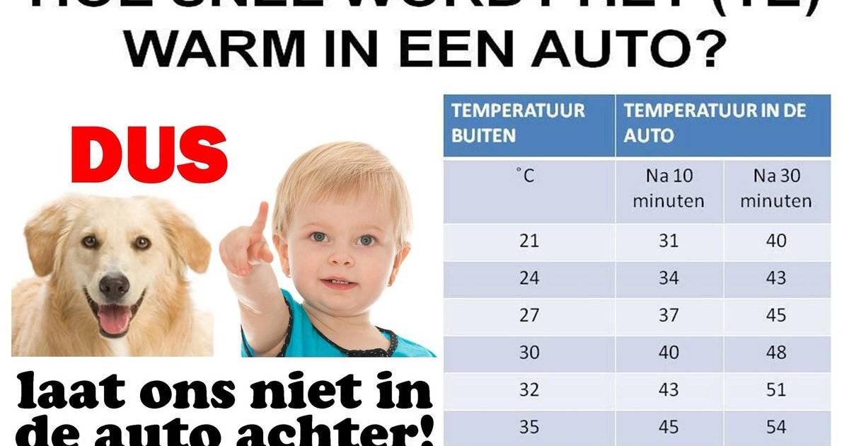 Hoe snel wordt het (te) warm in je auto 47,5 graden na 10 minuten