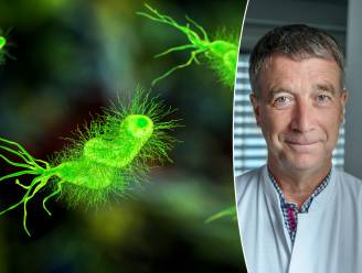 Meer dan 1 op 10 mensen met maagproblemen heeft deze bacterie: “Maar je kan die ook hebben en doorgeven zonder dat je het beseft”
