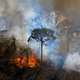 VN-rapport: wereld doet te weinig om verwoestende bosbranden te voorkomen