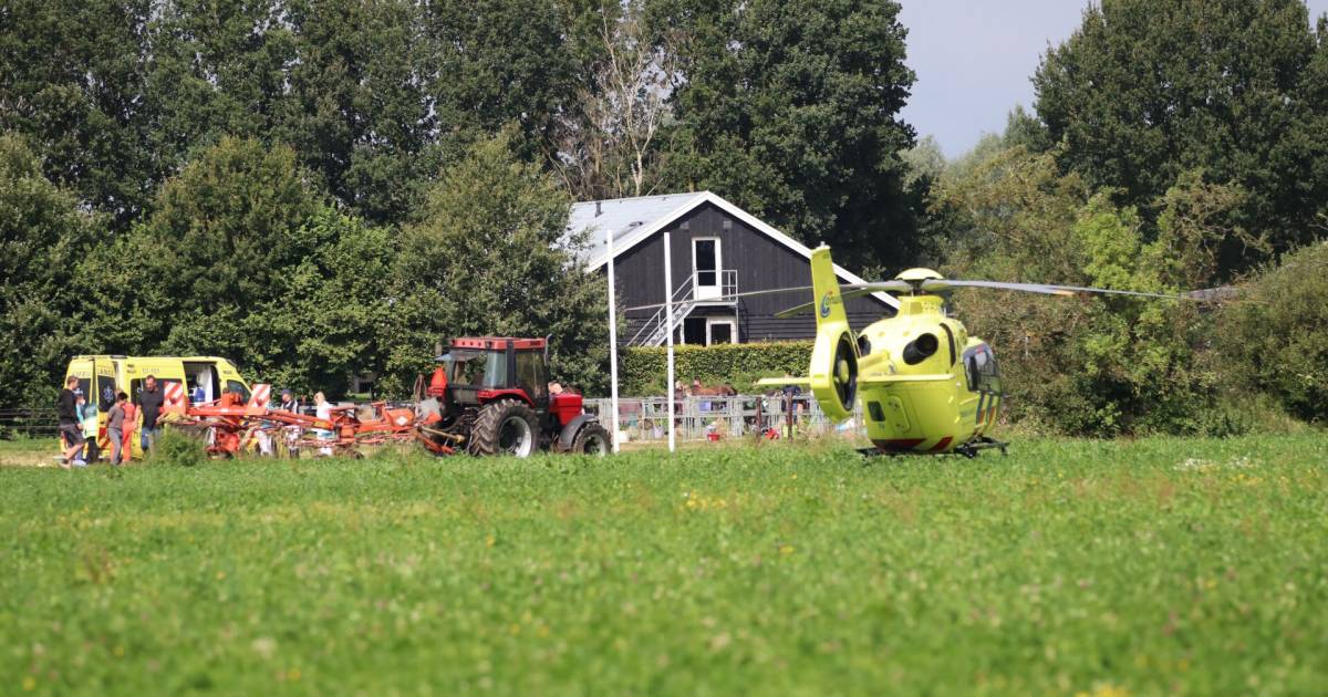 Meisje raakt gewond bij ongeluk met paard op vakantieboerderij in Otterlo.