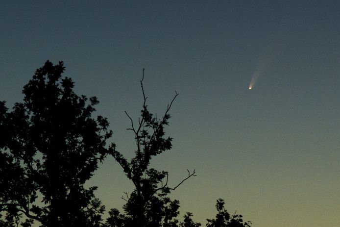 Roel Weijenberg maakte deze foto van komeet Neowise afgelopen dinsdag met een 135 mm telelens vanaf statief, 1 seconde belichting bij ISO 800, gecropt.
