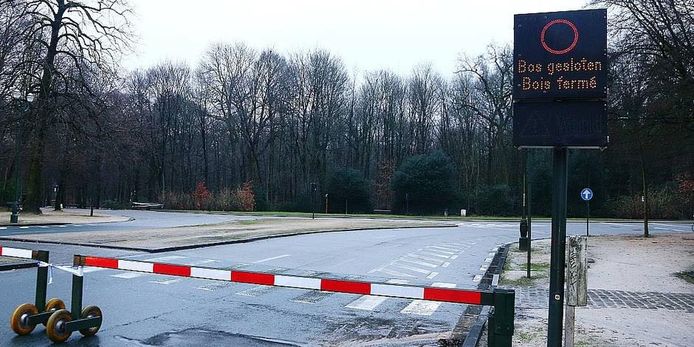 Het Ter Kamerenbos in Brussel wordt uit voorzorg gesloten tot morgenmiddag 12 uur.