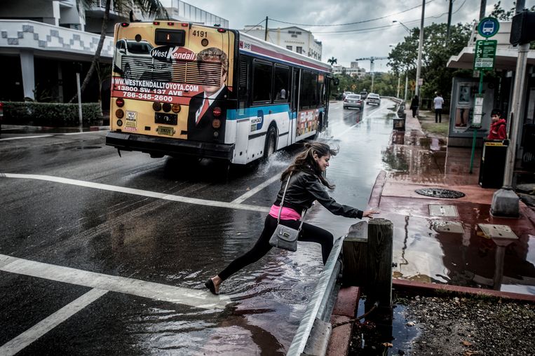 Bij springtij komt het zeewater in Miami Beach over de slecht onderhouden beschermingswand bij Indian Creek en uit de riolering.
 Beeld Kadir van Lohuizen / NOOR
