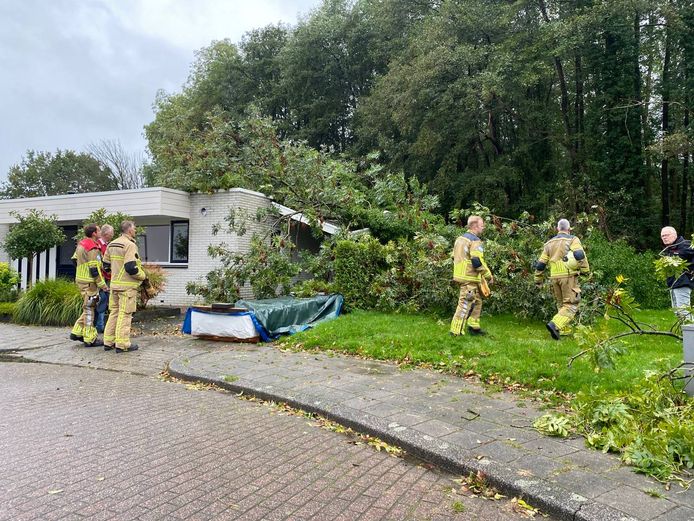 Een boom waaide op een woning in de Hengelose Hasseler Es.