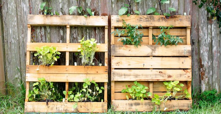 Scheiden Giet tot nu Zó maak je van een pallet een verticale mini-tuin | Libelle