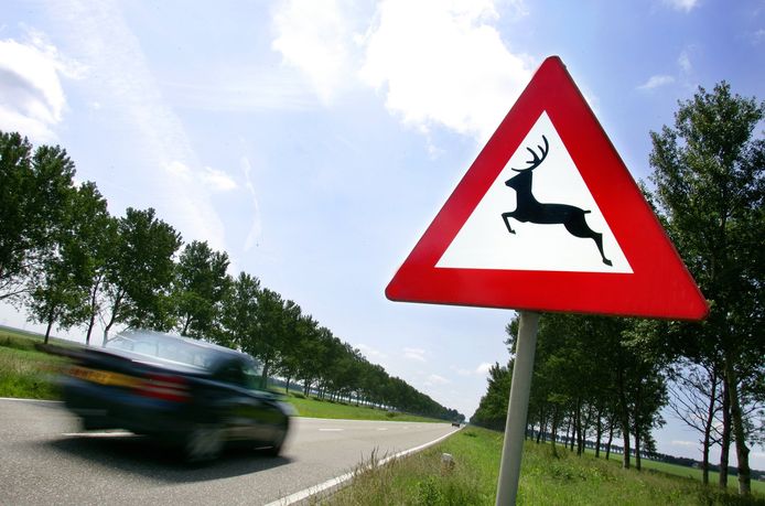 Oppassen voor overstekend wild op de Vogelweg bij Lelystad.
