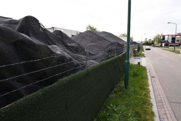 De stapels kunstgrasmatten bij Tuf Recycling werden op last van staatssecretaris Stientje van Veldhoven afgedekt en moeten daar blijven liggen totdat er zekerheid is over de verwerking.