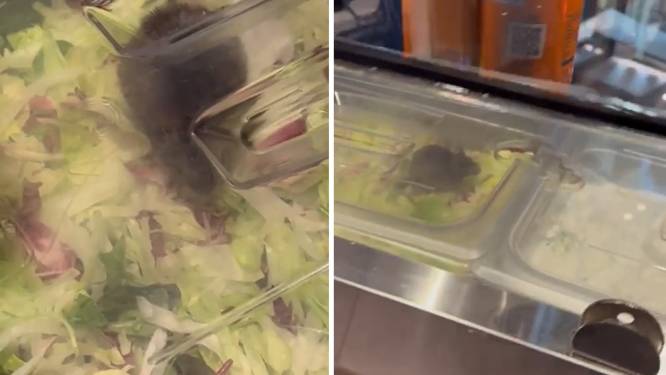 Rat tussen de sla bij Grieks restaurant in Mall of the Netherlands: ‘Ik kom hier nooit meer terug’
