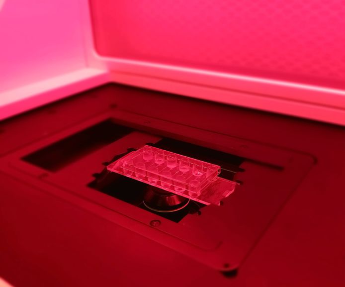 Les chercheurs ont imprimé en 3D un cœur miniature sur une puce.
