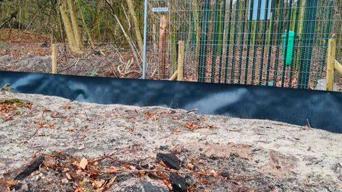Voor de laatste huurders van Duinrand blijft alleen de rust nog over om van te genieten; ‘Het voelt een beetje als pesterij’