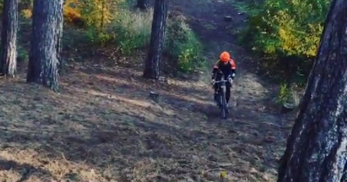 Zo bereidt krachtmens Van Aert zich voor op Koppenbergcross Veldrijden hln.be