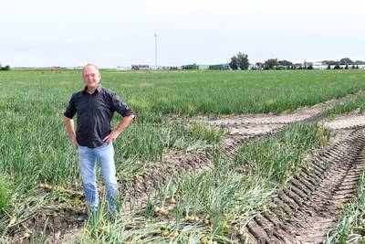 Dorp met alleen een bakker overrompeld door alle bouwplannen: ‘Gaan we er wel op vooruit?’
