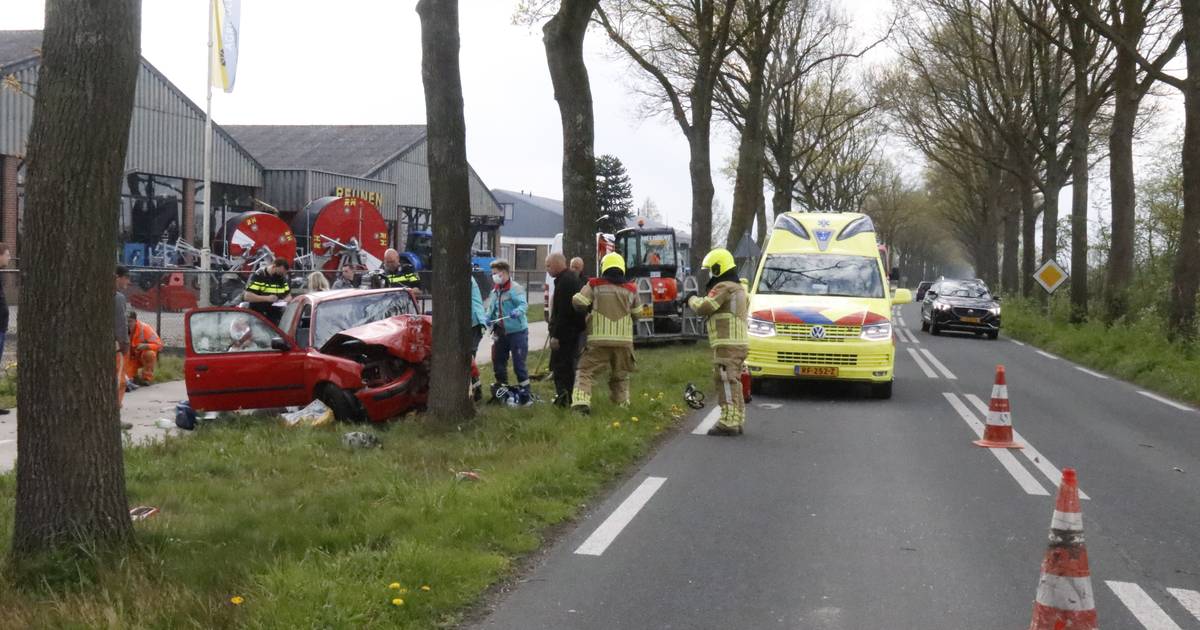 Vrouw en kind bevrijd uit auto na botsing tegen boom in Siebengewald