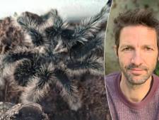 Une tarentule en fuite sème la terreur dans un village flamand: pourquoi avons-nous si peur des araignées?