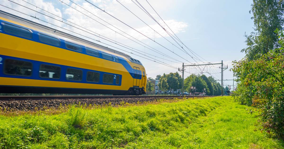 Tot in de nacht geen treinen tussen Zwolle en Olst door aanrijding.