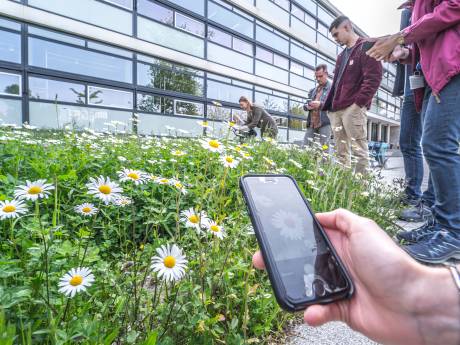 TU Delft vergroent en laat dat zien: ‘Als je dan toch met je telefoon bezig bent, gebruik ‘em dan nuttig’