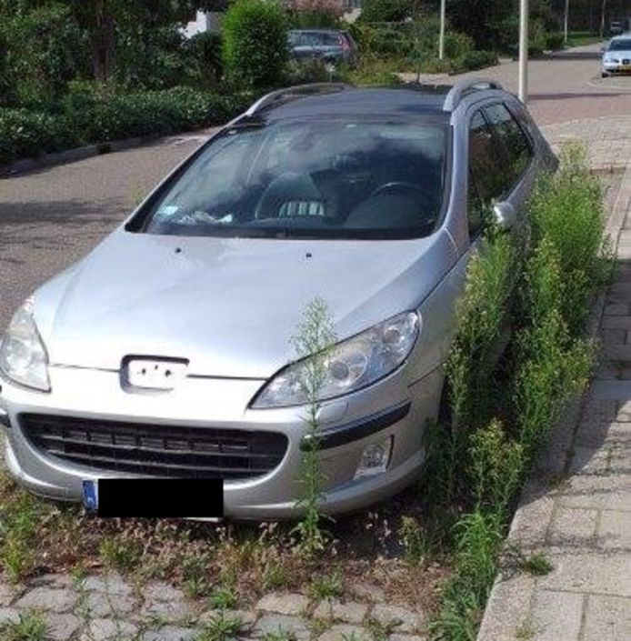De Peugeot staat nu al sinds februari onaangeroerd in de Lievenshovelaan in Bergen op Zoom.