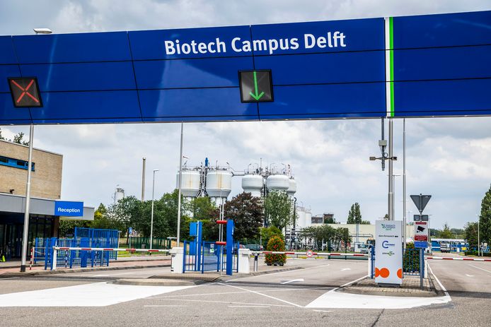 Nog 1,5 jaar werken in gistfabriek DSM Delft die sluit: ‘Daar moet wat ...