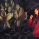 Julia Holter - Aviary