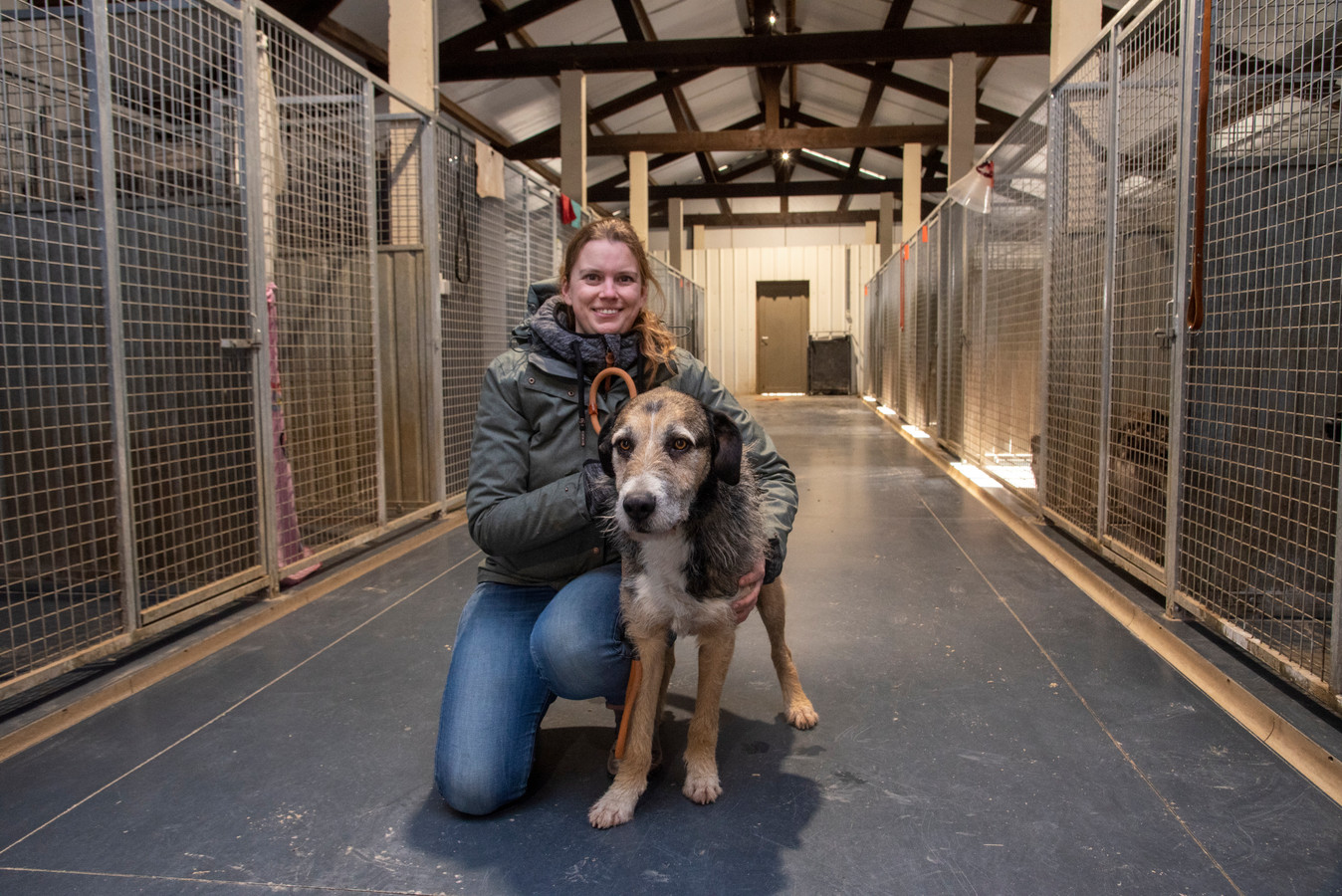 Animal Trust start inzameling voor van 24 zieke en verlamde