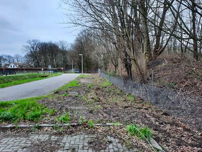 ‘Kapvergunning voor aanleg parkeerplaats landgoed Steenenburg moet van tafel’
