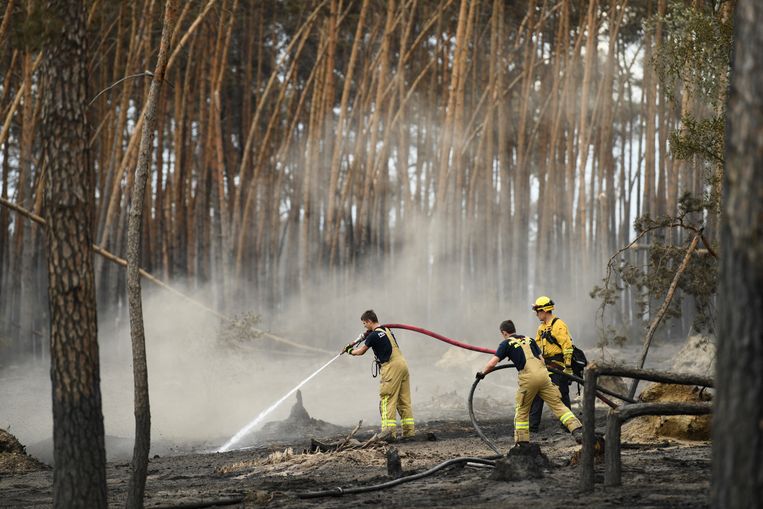 Brandweerlui blussen een bosbrand in Falkenburg, in Duitsland. Beeld REUTERS