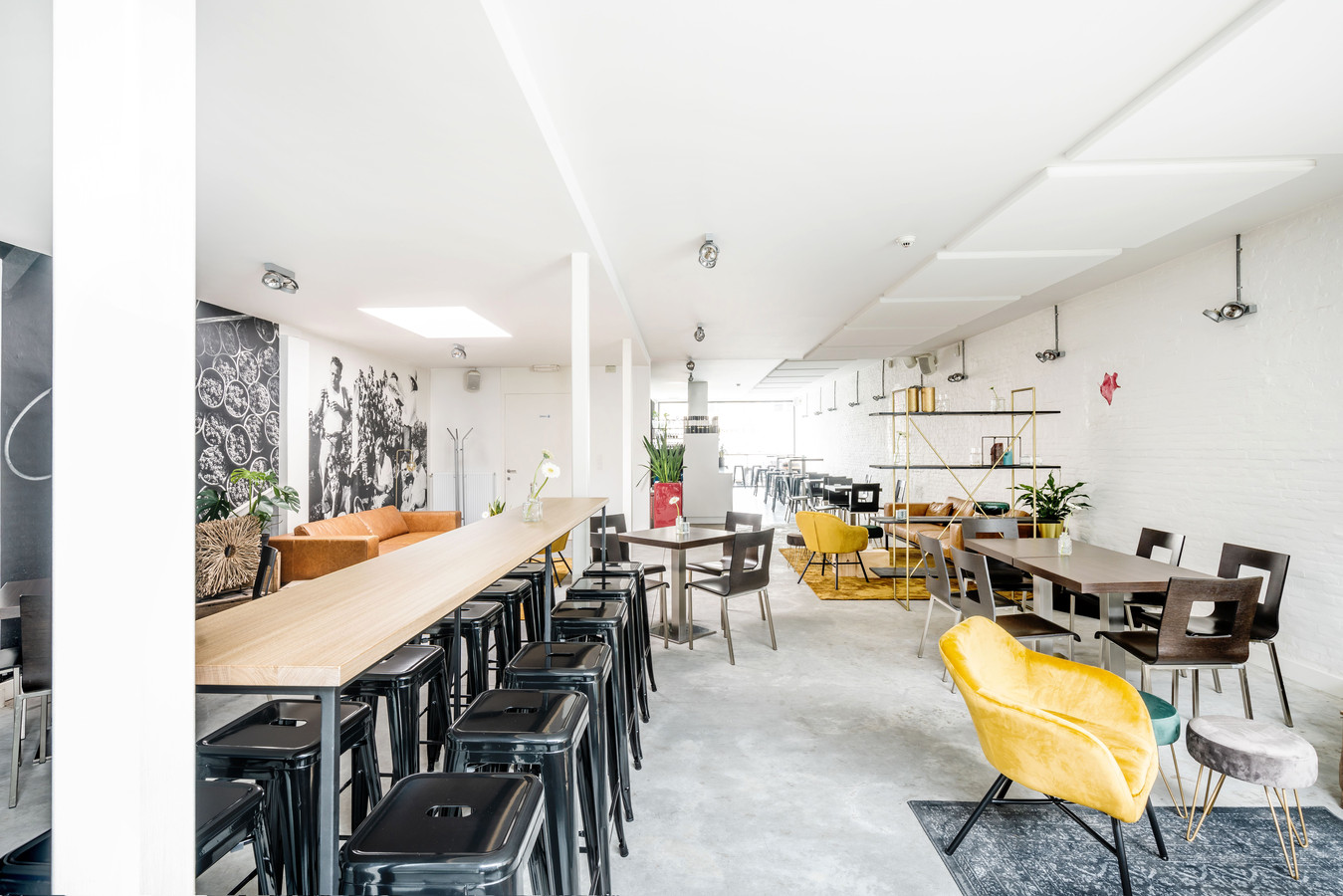 Artevino opent gezellige wijnbar “Dorp van SintAntonius Zoersel nieuw