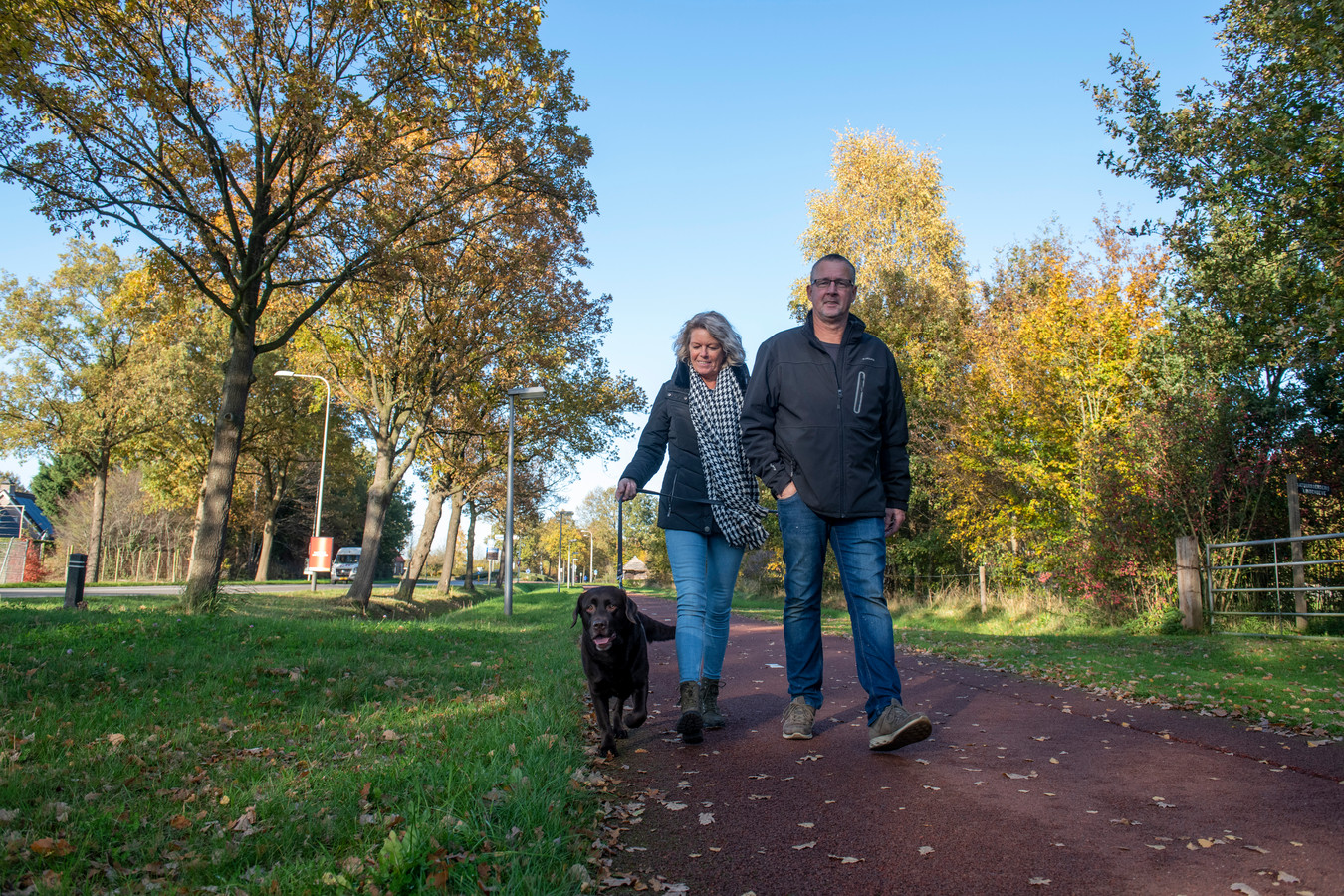 Honden moeten overal in bebouwde kom van Dalfsen aan de lijn Foto destentor.nl
