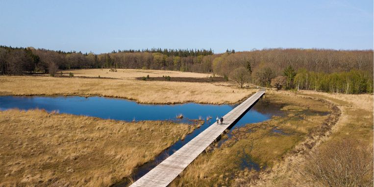 Op déze plek staan de oudste monumenten van Nederland - Margriet