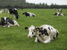 Landbouwgrond over? Geef het aan een andere boer via ‘de Grondbank’