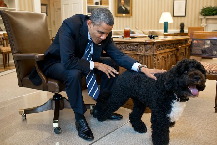 De vorige president Barack Obama met zijn hond Bo.