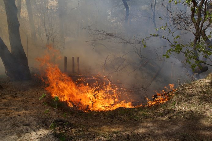 In de Loonse en Drunense Duinen woedden in de zomer wel vaker brandjes en branden.