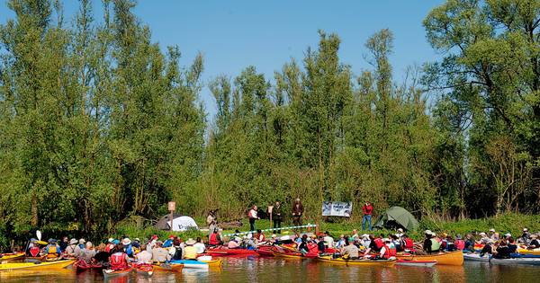 ‘Biesbosch te druk door feestende recreanten’, gemeente wil maatregelen