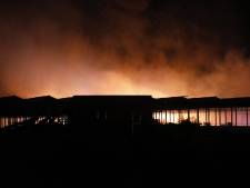 Deel kassencomplex in Etten-Leur brandt af, weilanden vol scherven van zonnepanelen: ‘Om me heen stond de boel in lichterlaaie’