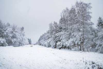 Er kan vannacht en morgenvroeg tot 7 centimeter (!) sneeuw vallen in Hoge Ardennen