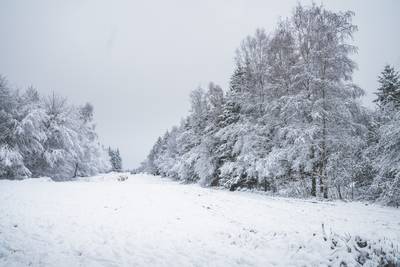 Er kan deze ochtend tot 7 centimeter (!) sneeuw vallen in Hoge Ardennen