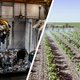 De lucht is gezonder en er worden minder pesticiden gebruikt in de landbouw, maar Europa is nog steeds een ‘toxische’ omgeving